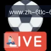 6T体育 logo