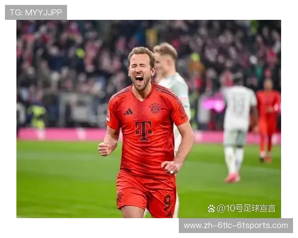 德甲联赛球队地址在哪里：德甲各大球队的主场位置与地址指南