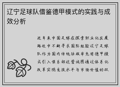 辽宁足球队借鉴德甲模式的实践与成效分析